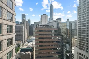 118 E Erie St, Chicago, IL 60611 - Photo 19