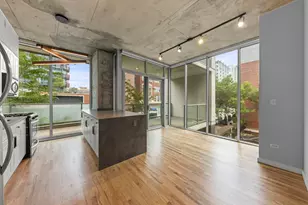 1720 S Michigan Ave, Chicago, IL 60616 - Photo 7