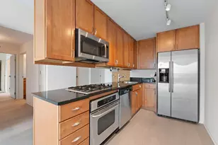 9715 Woods Dr, Skokie, IL 60077 - Photo 5