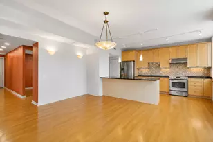 1000 N Lake Shore Plaza, Chicago, IL 60611 - Photo 9