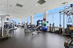 1000 N Lake Shore Plaza, Chicago, IL 60611 - Photo 25