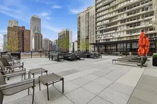 1000 N Lake Shore Plaza, Chicago, IL 60611 - Photo 29