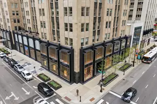 1000 N Lake Shore Plaza, Chicago, IL 60611 - Photo 31