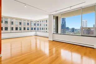 1000 N Lake Shore Plaza, Chicago, IL 60611 - Photo 7