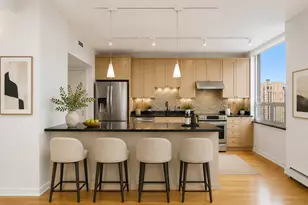 1000 N Lake Shore Plaza, Chicago, IL 60611 - Photo 9