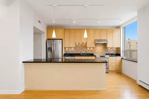1000 N Lake Shore Plaza, Chicago, IL 60611 - Photo 11