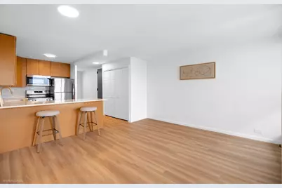 1030 N State Street #11M, Chicago, IL 60610 - Photo 7