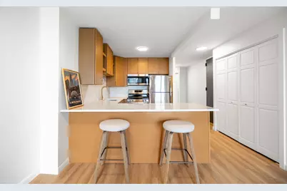1030 N State Street #11M, Chicago, IL 60610 - Photo 5