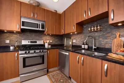 225 S Sangamon Street #306, Chicago, IL 60607 - Photo 9
