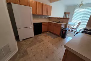542 Peregrine Pkwy, Bartlett, IL 60103 - Photo 9