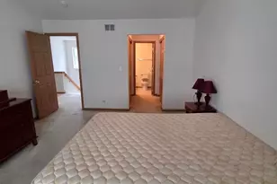 542 Peregrine Pkwy, Bartlett, IL 60103 - Photo 19