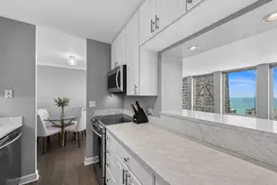111 E Chestnut St, Chicago, IL 60611 - Photo 11
