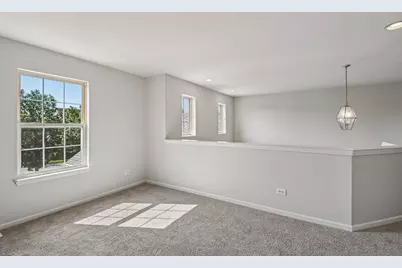 1409 Baltz Drive, Joliet, IL 60431 - Photo 47