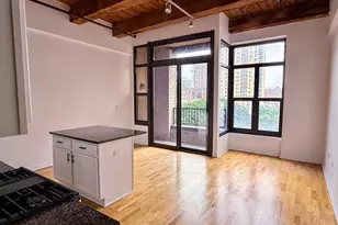 1503 S State St, Chicago, IL 60605 - Photo 3