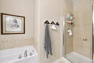 253 Larsdotter Ln, Geneva, IL 60134 - Photo 13