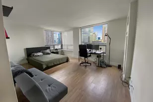 440 N Wabash Ave, Chicago, IL 60611 - Photo 5