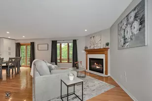 16616 Grants Trail, Orland Park, IL 60467 - Photo 7
