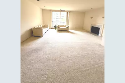 4545 W Touhy Avenue #409E, Lincolnwood, IL 60712 - Photo 11