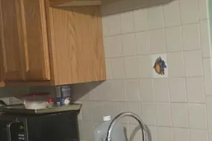 5738 S Kenneth Ave, Chicago, IL 60629 - Photo 7