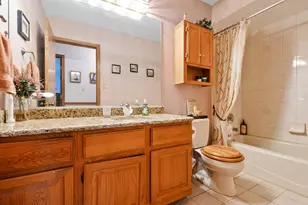 8955 Linden Dr, Tinley Park, IL 60487 - Photo 21