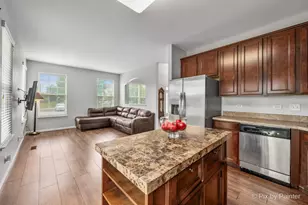 481 S Jade Ln, Round Lake, IL 60073 - Photo 17