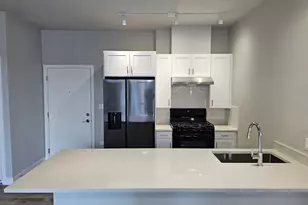 2807 S Halsted St, Chicago, IL 60608 - Photo 11