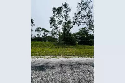 4706 13000 Road, Hopkins Park, IL 60958 - Photo 1