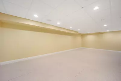120 E 8th Street, Hinsdale, IL 60521 - Photo 27