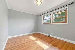 1113 S Haddow Ave, Arlington Heights, IL 60005 - Photo 19