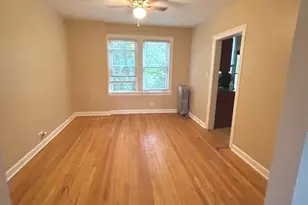 221 E 78th St, Chicago, IL 60619 - Photo 3