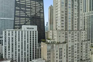 179 E Lake Shore Dr, Chicago, IL 60611 - Photo 5