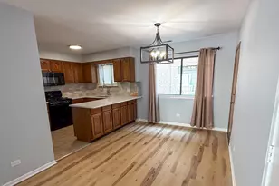 8504 W Catherine Ave, Chicago, IL 60656 - Photo 5