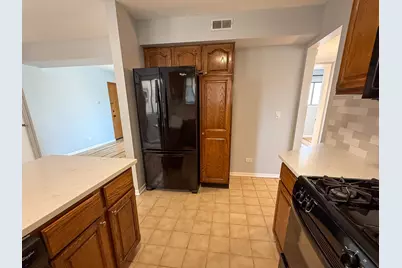 8504 W Catherine Avenue #2N, Chicago, IL 60656 - Photo 9
