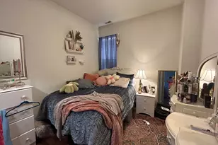 15 E Pearson St, Chicago, IL 60611 - Photo 13