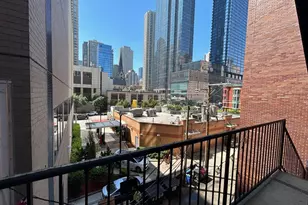 15 E Pearson St, Chicago, IL 60611 - Photo 19