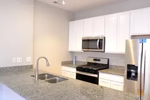 347 E 25th Pl, Chicago, IL 60616 - Photo 13