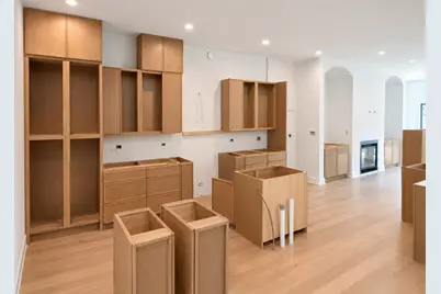 513 W 28th Place, Chicago, IL 60616 - Photo 7