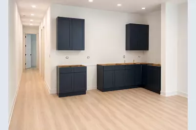 513 W 28th Place, Chicago, IL 60616 - Photo 19