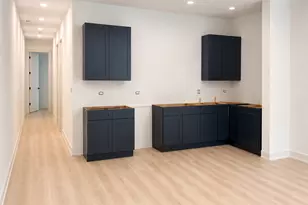 513 W 28th Pl, Chicago, IL 60616 - Photo 19