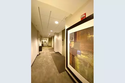 240 E Illinois Street #1706, Chicago, IL 60611 - Photo 41