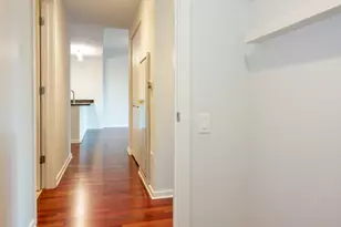 240 E Illinois St, Chicago, IL 60611 - Photo 21