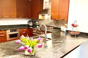 240 E Illinois St, Chicago, IL 60611 - Photo 43