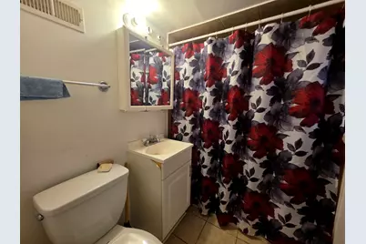 7824 S Hermitage Avenue, Chicago, IL 60620 - Photo 11