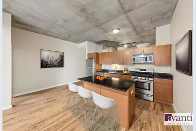 1720 S Michigan Avenue #202, Chicago, IL 60616 - Photo 7