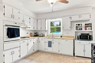 303 Ridge St, Algonquin, IL 60102 - Photo 9