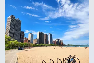 70 E Scott Street #308, Chicago, IL 60610 - Photo 29