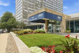 4800 S Chicago Beach Dr, Chicago, IL 60615 - Photo 5