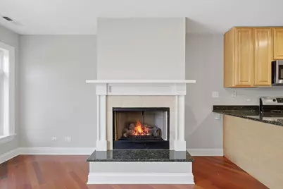 2527 W Harrison Street #2, Chicago, IL 60612 - Photo 7