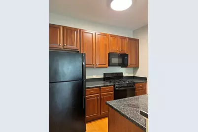 647 N Green Street #207, Chicago, IL 60642 - Photo 3