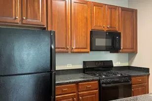 647 N Green St, Chicago, IL 60642 - Photo 3